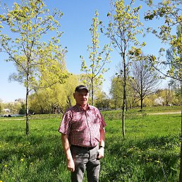 ���� �����, �����-���������, 71 ��� - ��������� 20 ���� 2022