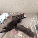 ���� Sergei, �����, 64 ���� - ��������� 10 ������� 2023 � ������ ���� ����������