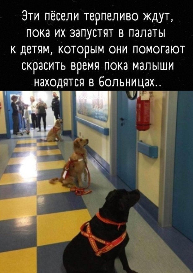 ������ - ����� ��������� ��������