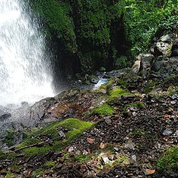 ������, ������, 42 ����