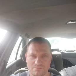 , 41, 