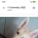 ���� ���� 19����67����., ������-��-����, 58 ��� - ��������� 11 ������ 2023 � ������ ���� ����������