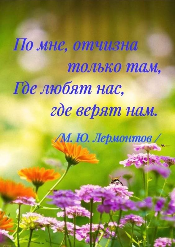   - 7  2022  09:41
