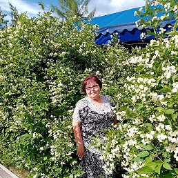 ������, ������, 68 ���