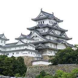  Zura, , 37  -  24  2022