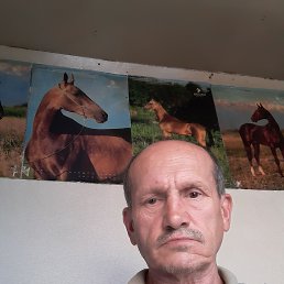  , , 59  -  7  2022