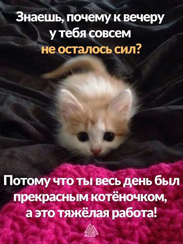   ,   .       !