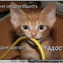���� ���������, ���������, 53 ���� - ��������� 3 ������� 2022 � ������ ���� ����������