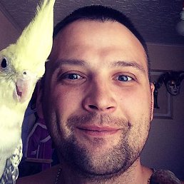 Tim, ������