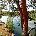 ���� ���������, ��������� - ��������� 10 ������� 2022 � ������ ���� ����������