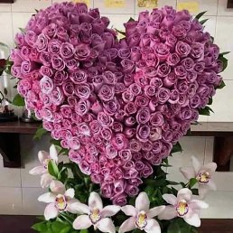 ���� Ulduz, ����, 43 ���� - ��������� 26 ������ 2023