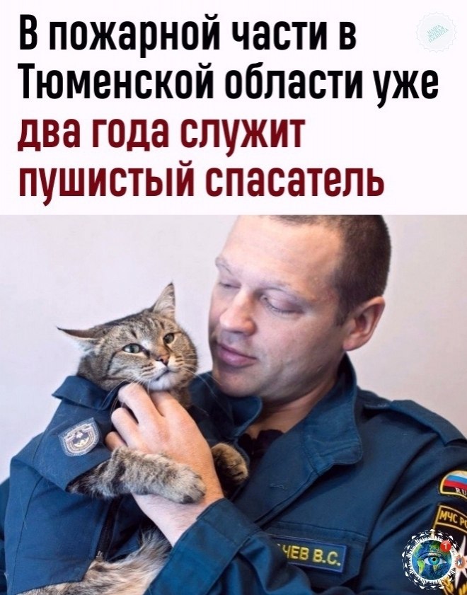 a  caca a https://fotostrana.ru/away?to=/sl/Vgh3atplant