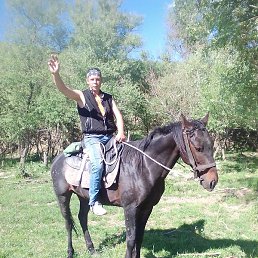 �������, ���������, 36 ���