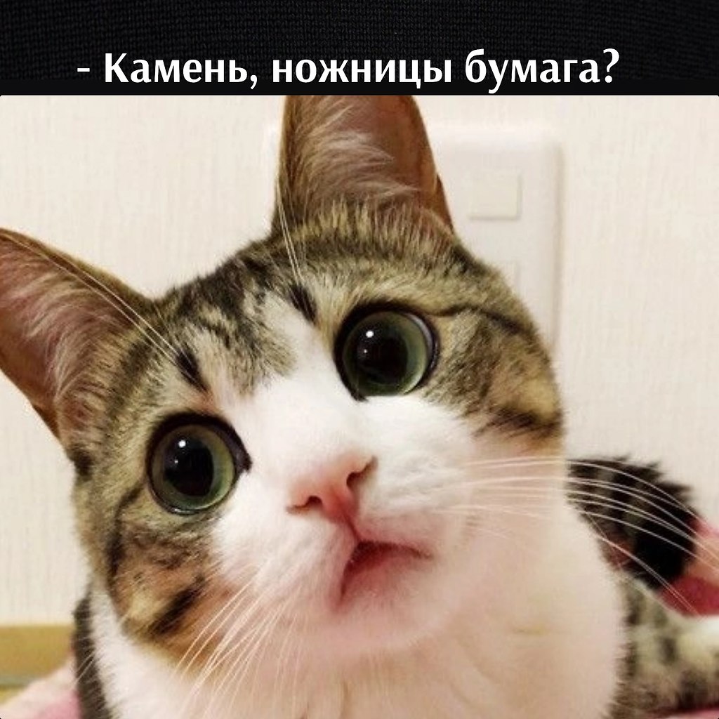       - 21  2022  16:03 - 3