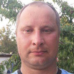 �����, ������, 41 ���