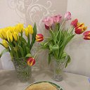 ���� *���������*, ���������� ����� - ��������� 12 ������ 2022 � ������ ���� ������