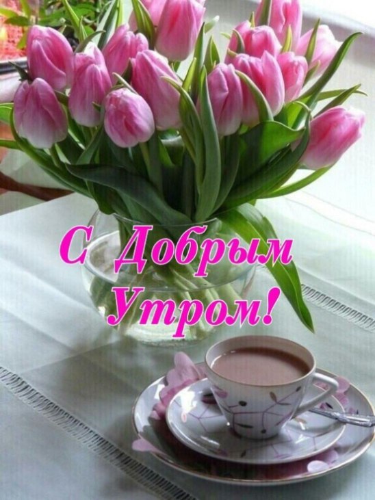 Доброго всем утра , солнечного настроения , легкого понедельника , будьте счастливы... С добрым ...