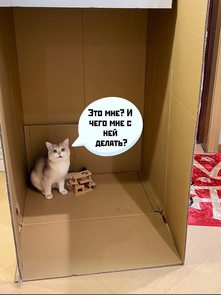    ,      ))). ,   ...