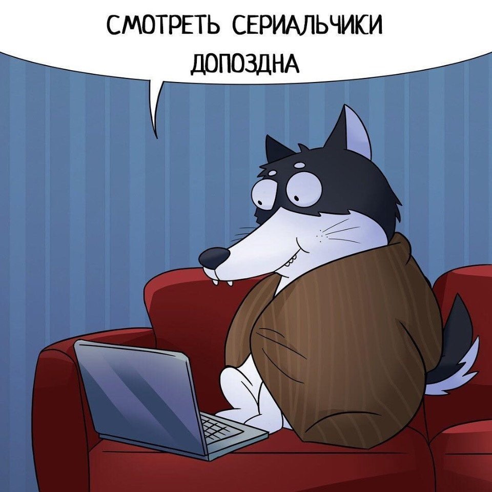         .     ,      - 3