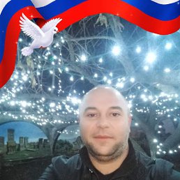 HOVO, 39, ʸ