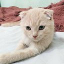 ���� ������, �����, 62 ���� - ��������� 4 ������� 2022