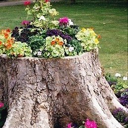 ���� �, ������-��-���� - ��������� 6 ��� 2022