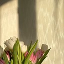 ���� ���, ���������, 54 ���� - ��������� 8 ������� 2023