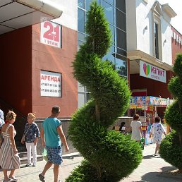 Vladimir, �������, 49 ���