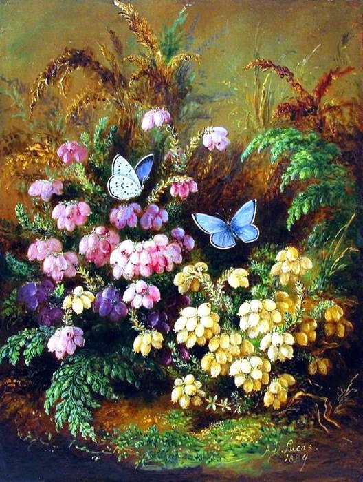 Albert Durer Lucas (18281919) - 4