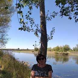 ���� �����, ����, 51 ��� - ��������� 6 ������� 2022