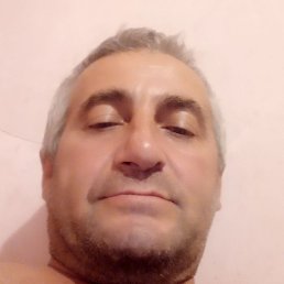 ����, ������, 49 ���