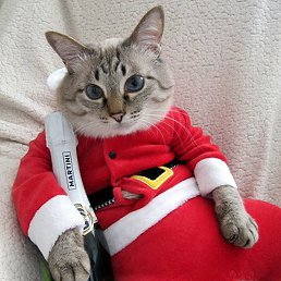 �����, ������, 102 ����