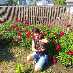 �����, ���������, 53 ����