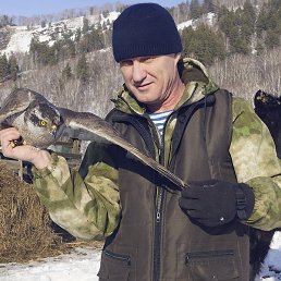 ������, �����������, 52 ����