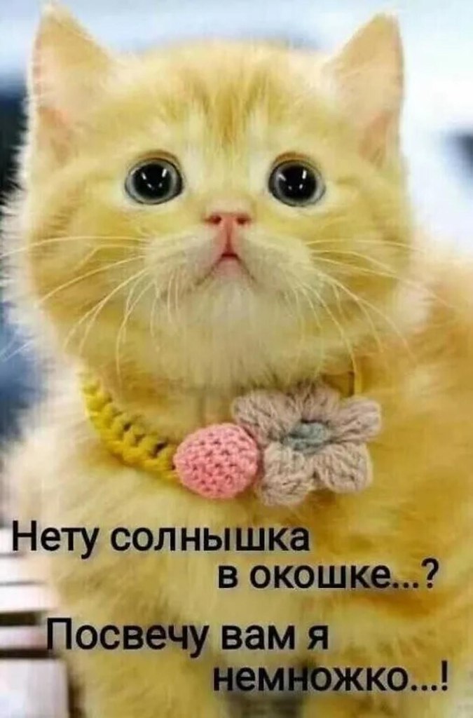   - 8  2022  17:50