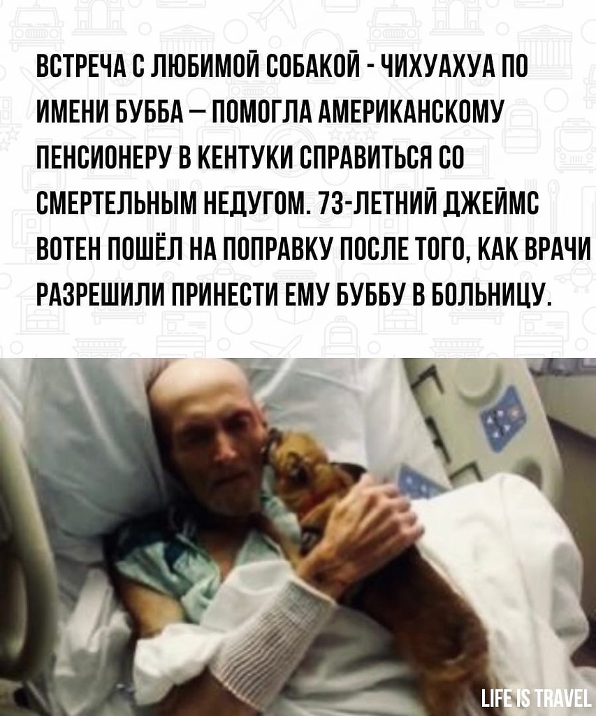BEST | , ,  - 7  2022  22:14 - 2