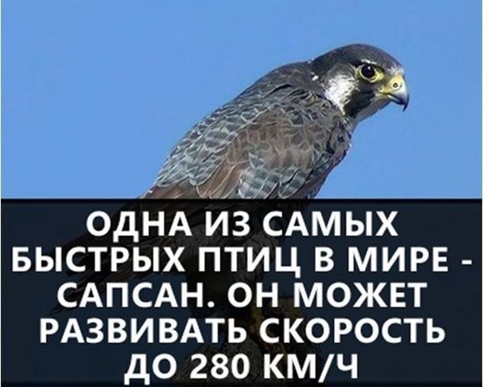   - 12  2022  21:01