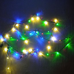 ���� ������, ������, 41 ��� - ��������� 21 ������� 2022