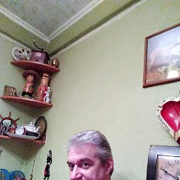 ���� ����, �����-���������, 54 ���� - ��������� 21 �������� 2022