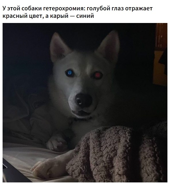    ,      . - 6