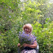 ������, 67 ���, ������