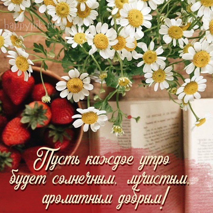   ,    . - 21  2022  23:10 - 9