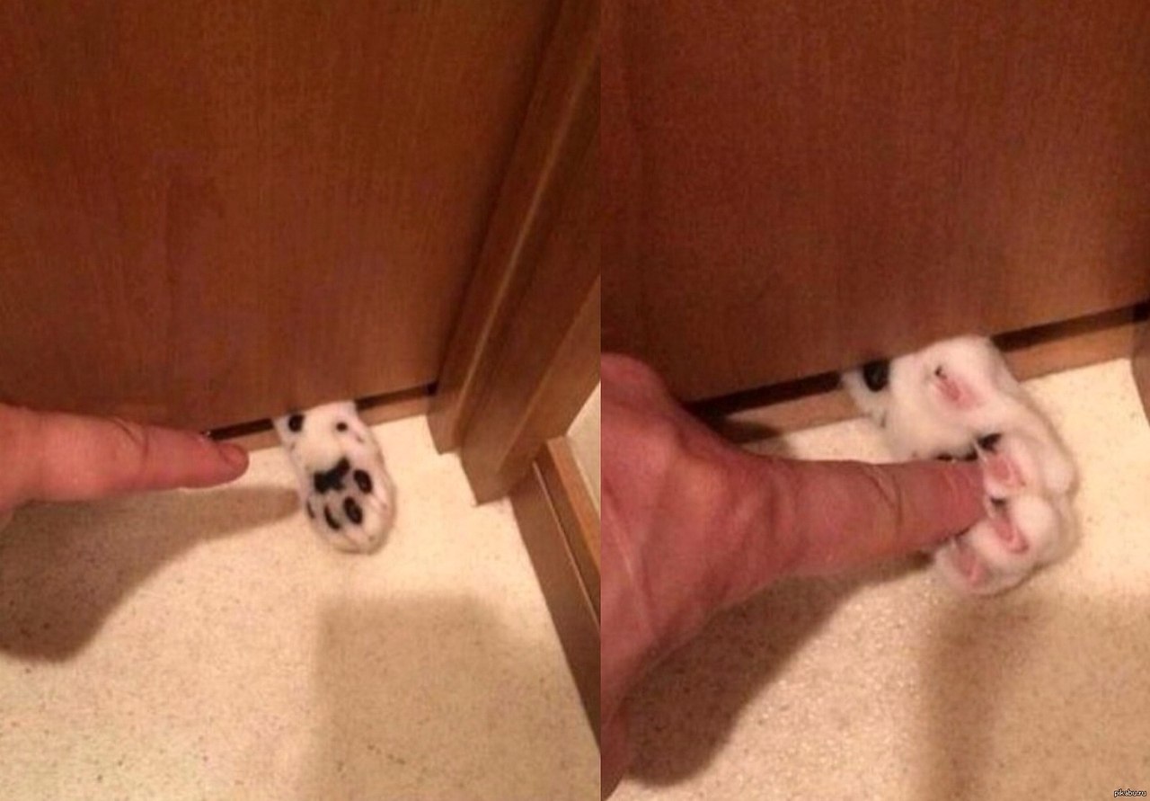  )