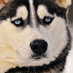 ������16, ������, 44 ����