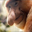 ���� �����, �������, 49 ��� - ��������� 4 ������� 2022 � ������ ���� ����������