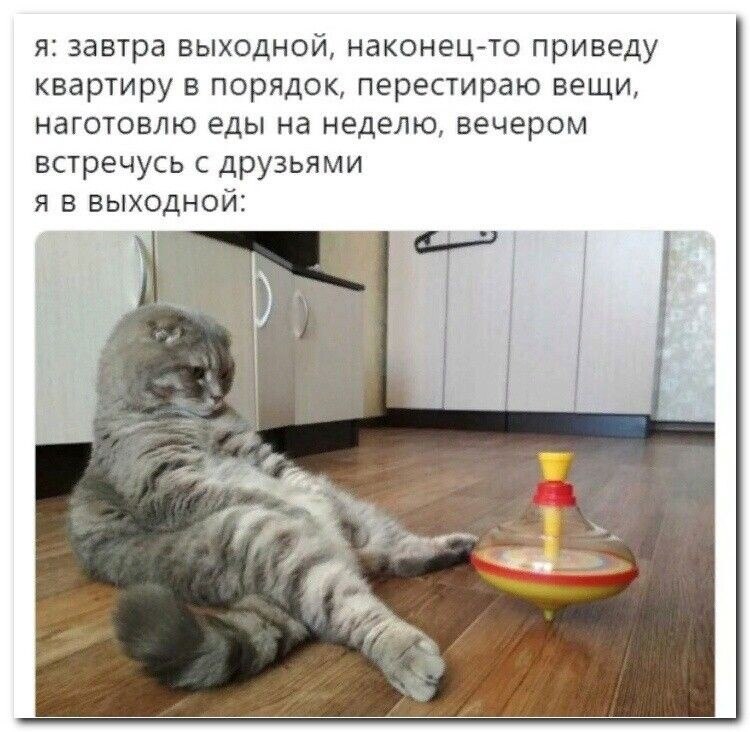 ***Victoria Viktorovna*** - 13  2022  11:34