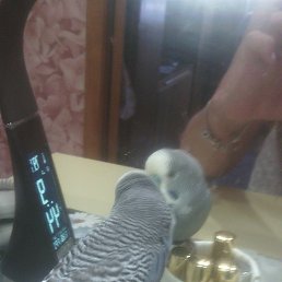 ���� �������, ����������, 64 ���� - ��������� 30 ���� 2022