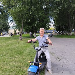 ������, �����, 37 ���