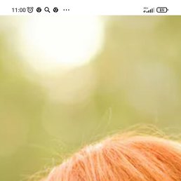 �����, ������, 50 ���