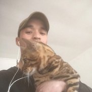 , 38 , 